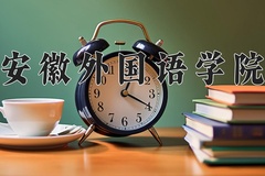 2024年安徽外国语学院录取分数线，广东最低467分
