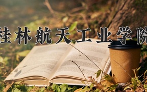 2024年桂林航天工业学院录取分数线，广东最低420分