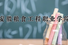 2024年安徽粮食工程职业学院录取分数线，广东最低361分