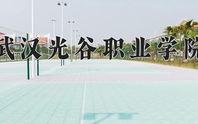 2024年武汉光谷职业学院录取分数线，广东最低327分