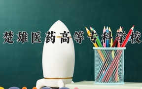 2024年楚雄医药高等专科学校录取分数线，广东最低0分
