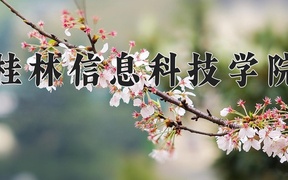 2024年桂林信息科技学院录取分数线，广东最低466分