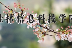 2024年桂林信息科技学院录取分数线，广东最低466分