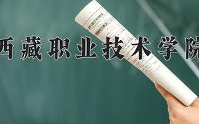 2024年西藏职业技术学院录取分数线，广东最低339分