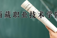 2024年西藏职业技术学院录取分数线，广东最低339分