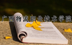 2024年广西物流职业技术学院录取分数线，广东最低342分