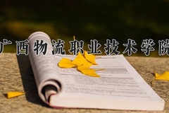 2024年广西物流职业技术学院录取分数线，广东最低342分