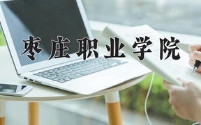 2024年枣庄职业学院录取分数线，广东最低287分