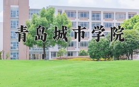 2024年青岛城市学院录取分数线，广东最低470分