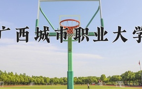 2024年广西城市职业大学录取分数线，广东最低463分