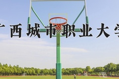 2024年广西城市职业大学录取分数线，广东最低463分