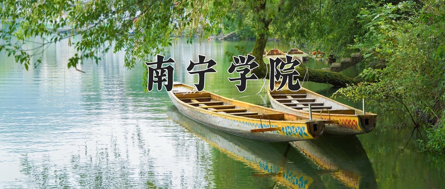 南宁学院