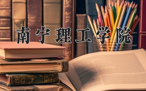 2024年南宁理工学院录取分数线，广东最低481分