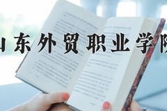 2024年山东外贸职业学院录取分数线，广东最低371分