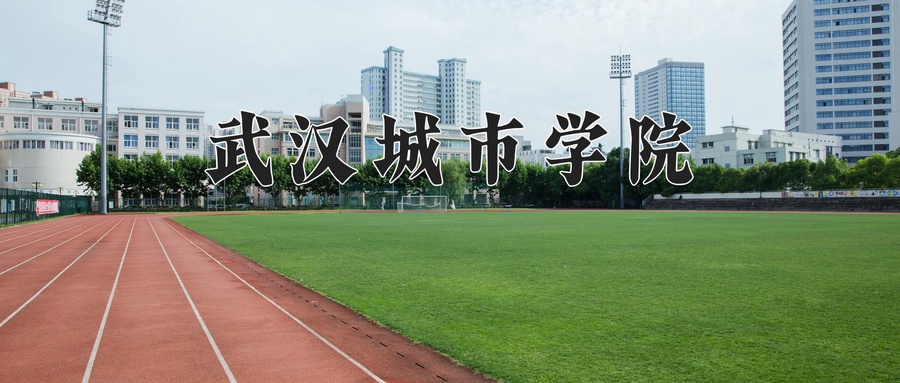 武汉城市学院