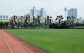 2024年武汉城市学院录取分数线，广东最低477分
