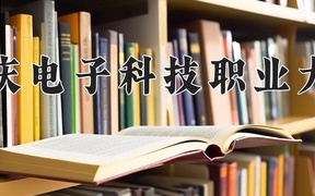 2024年重庆电子科技职业大学录取分数线，广东最低414分