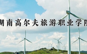 2024年湖南高尔夫旅游职业学院录取分数线，广东最低302分