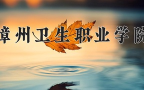 2024年漳州卫生职业学院录取分数线，广东最低420分