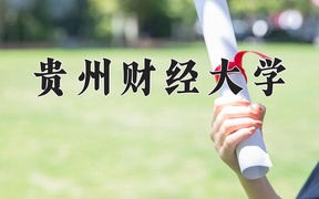 2024年贵州财经大学录取分数线，广东最低520分