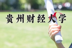2024年贵州财经大学录取分数线，广东最低520分