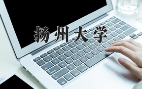 2024年扬州大学录取分数线，广东最低539分