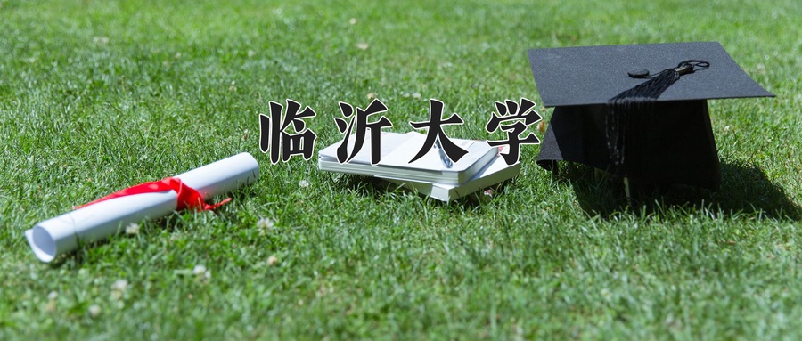临沂大学