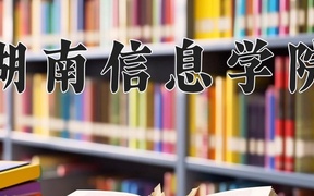 2024年湖南信息学院录取分数线，广东最低362分