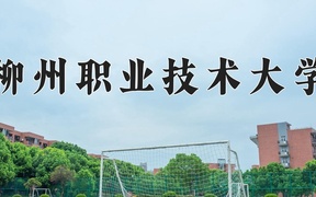 2024年柳州职业技术大学录取分数线，广东最低377分