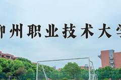 2024年柳州职业技术大学录取分数线，广东最低377分