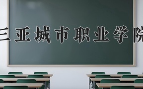 2024年三亚城市职业学院录取分数线，广东最低258分