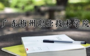 2024年广东梅州职业技术学院录取分数线，广东最低348分
