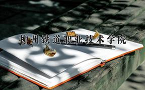 2024年柳州铁道职业技术学院录取分数线，广东最低421分