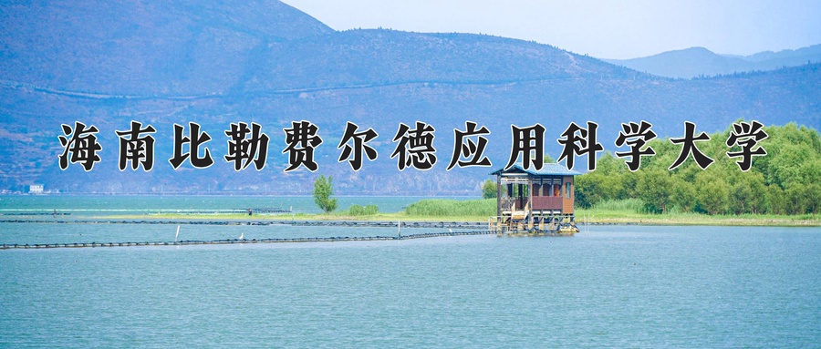海南比勒费尔德应用科学大学