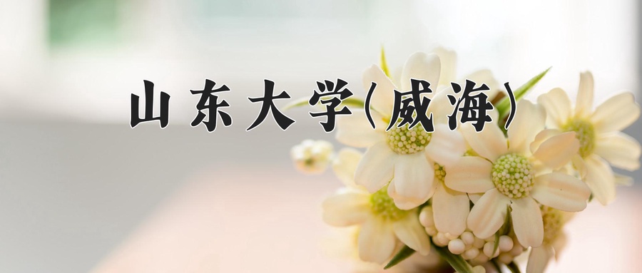 国际政治专业学费多少？附江苏2024年招收的大学-第1张图片-索考网