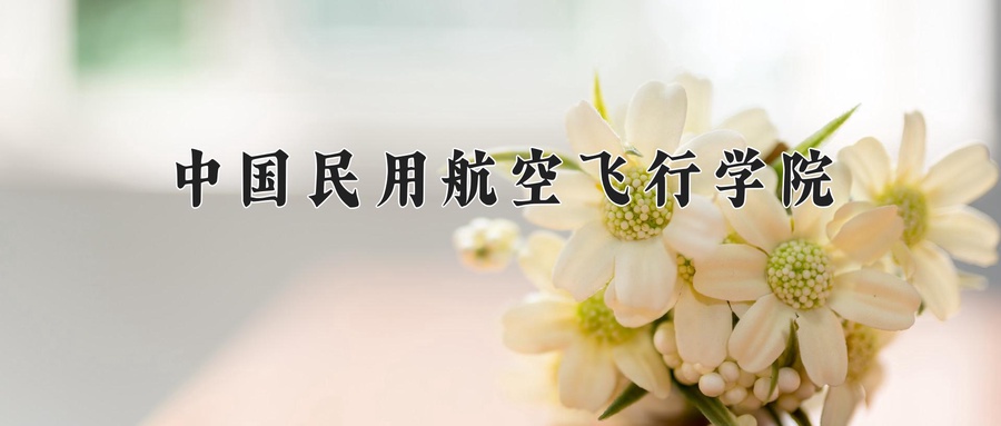 市场营销专业学费多少？附江苏2024年招收的大学-第1张图片-索考网