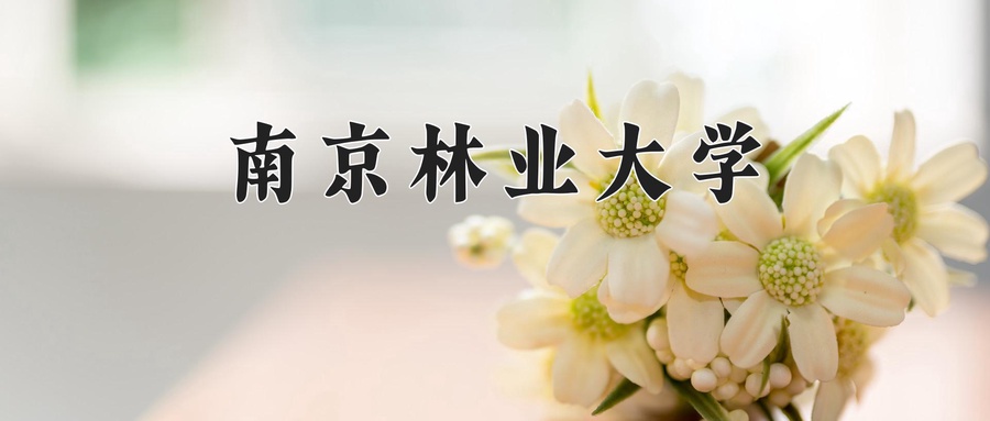 园林专业学费多少？附江苏2024年招收的大学-第1张图片-索考网