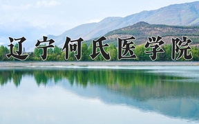 2024辽宁何氏医学院录取分数线：上海最低398分