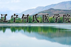 2024辽宁何氏医学院录取分数线：上海最低398分