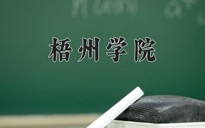 2024梧州学院录取分数线：上海最低420分