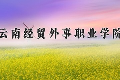 2024年云南经贸外事职业学院录取分数线，青海最低201分