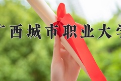 2024年广西城市职业大学录取分数线，青海最低328分
