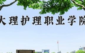 2024年大理护理职业学院录取分数线，青海最低251分