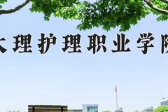 2024年大理护理职业学院录取分数线，青海最低251分