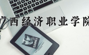 2024年广西经济职业学院录取分数线，青海最低240分