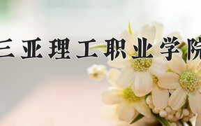 2024年三亚理工职业学院录取分数线，青海最低220分