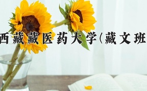 2024年西藏藏医药大学(藏文班)录取分数线，青海最低427分