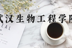 2024年武汉生物工程学院录取分数线，青海最低248分