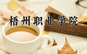 2024年梧州职业学院录取分数线，青海最低286分