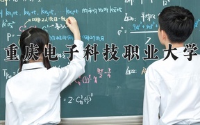 2024年重庆电子科技职业大学录取分数线，青海最低289分